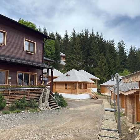 Andolia Villa Moeciu De Sus Dış mekan fotoğraf
