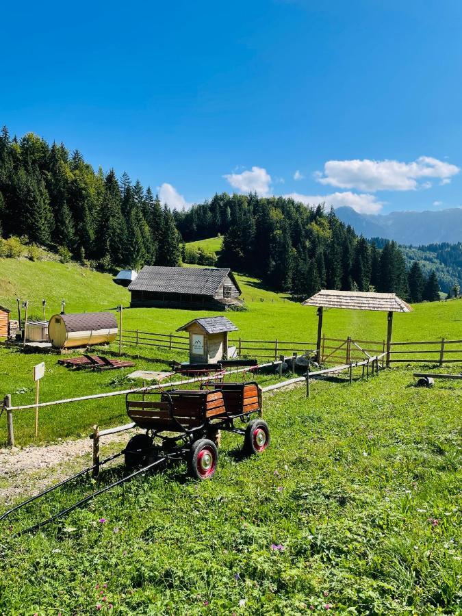 Andolia Villa Moeciu De Sus Dış mekan fotoğraf
